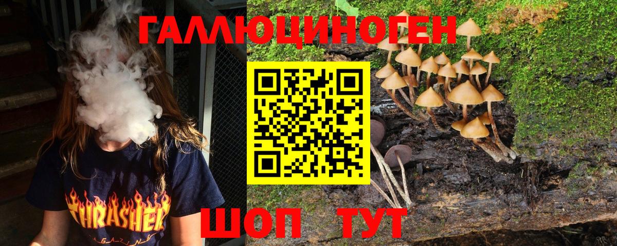 Псилоцибиновые грибы Psilocybine cubensis  Вход с VPN  Краснокаменск 