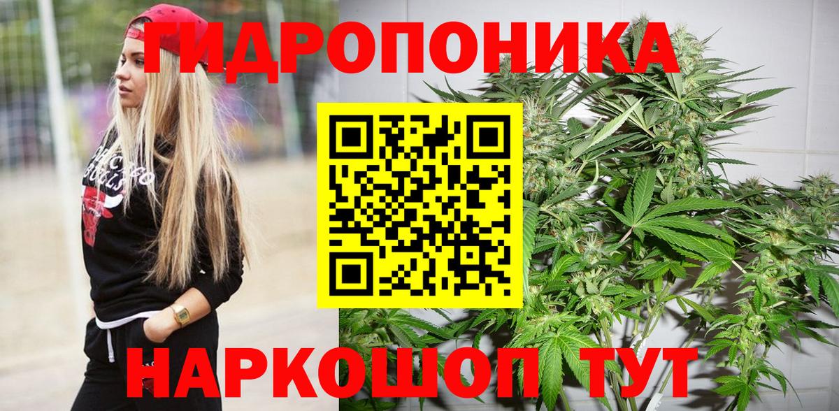 Бошки марихуана тримм  Конопля сатива  Вход с VPN  Краснокаменск 
